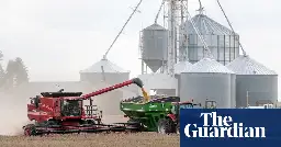 Economist suggests storing grain to prepare for next global emergency