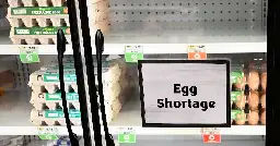 Trump Boosts Message Telling Americans to ‘Shut Up’ About Egg Prices