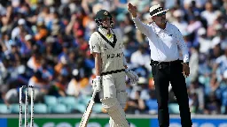 Play delayed due to third umpire stuck in lift at MCG