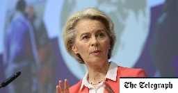 UK should rejoin EU to ‘fix’ Brexit, says Ursula von der Leyen