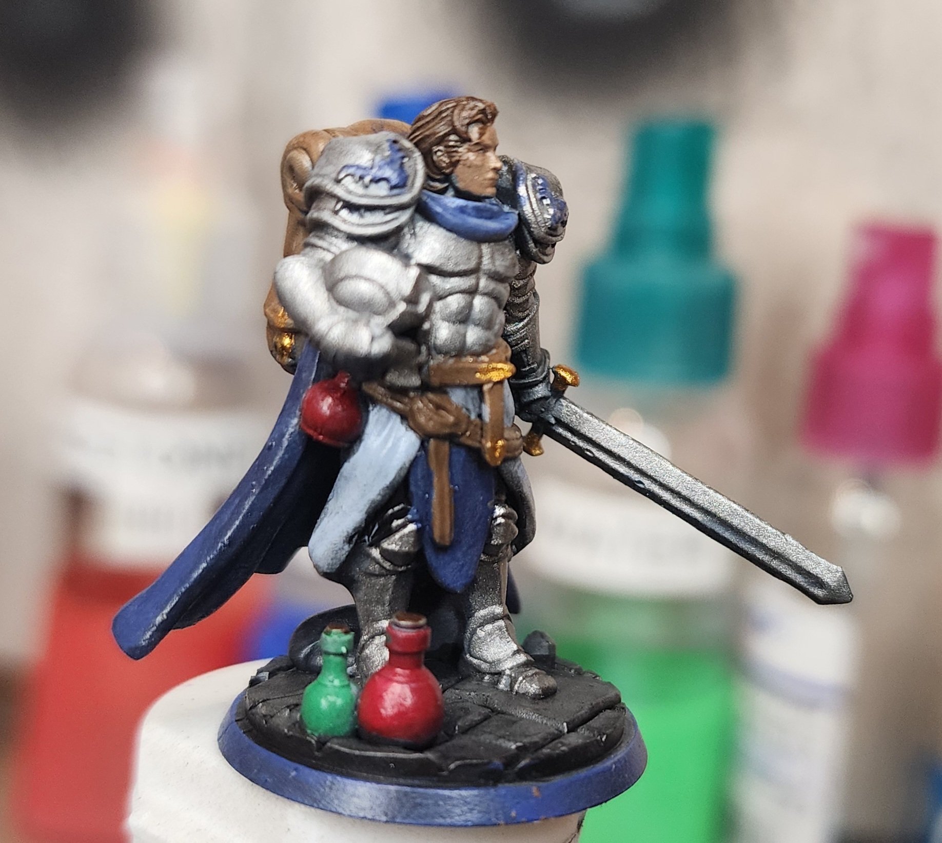 paladin side close-up 