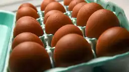 FDA upgrades recall of eggs linked to salmonella to 'serious' health risks or 'death'