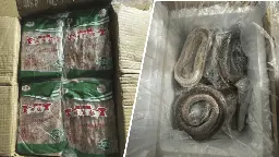 Six arrested after illegally imported goose intestines found hidden under rattlesnakes: Feds