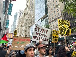 NYC pro-Palestine rally splits Democrats over Israel