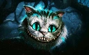 DevCat
