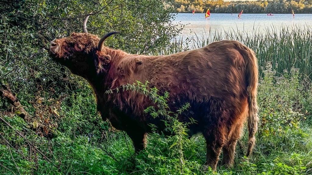 Fraaie nazomer houdt aan: zonnige dagen in het verschiet