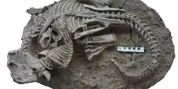 Caught in the act: Mammal found with teeth sunk in a much larger dinosaur