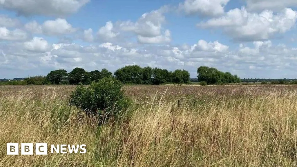 National Trust Sefton land deal to bring 91,000 new trees