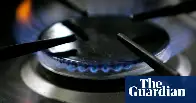 Gas stoves increase nitrogen dioxide exposure above WHO standards – study