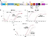 Duration of SARS-CoV-2 mRNA vaccine persistence and factors associated with cardiac involvement in recently vaccinated patients - npj Vaccines