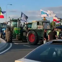 Interes środowiska sprzeczny z interesem farmera? Protesty rolników w Holandii - o co w nich chodzi?