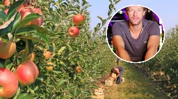 Coldplay Announce They Are Excited To Fulfil Their Fruit Picking Obligations After The Concerts | The Bell Tower Times