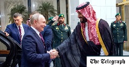 UAE defends lavish welcome of Putin