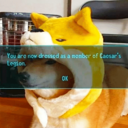 A dog wearing a dog costume with the caption "You are now dressed as a member of Caesar's Legion" in the Fallout: New Vegas style.
