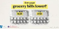 'Are Your Grocery Bills Lower?' Ad Targets Soaring Price of Eggs Under Trump.