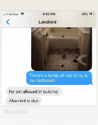 the background blur