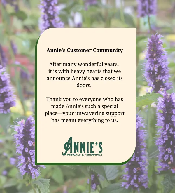 Annie's Annuals & Perennials | Annie's Annuals and Perennials