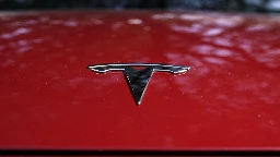 Tesla recalling nearly 200,000 vehicles because software glitch can cause backup camera to go dark