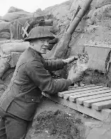 British soldier with the trench cat, France, WW1, 1918