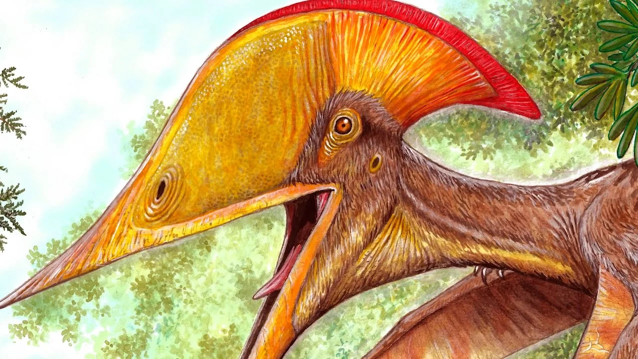 Scientists from China and Brazil uncover new species of pterosaur