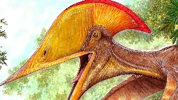 Scientists from China and Brazil uncover new species of pterosaur