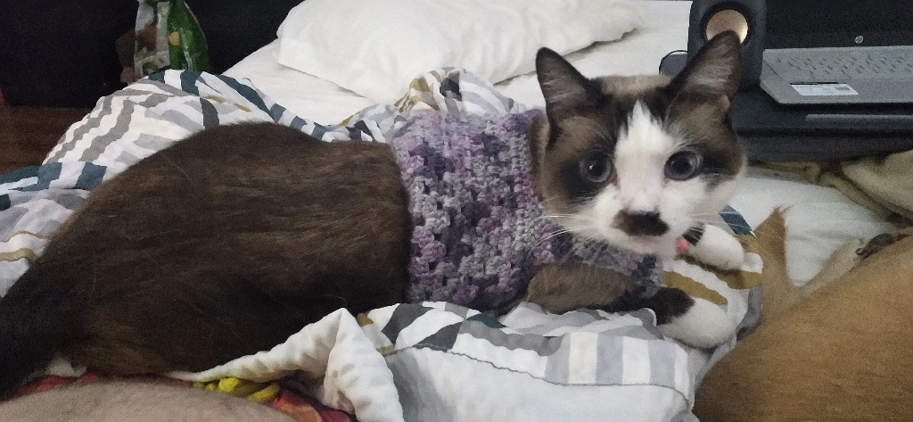 Cozy Lil&#39; Bitty Sweater