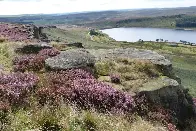 England's largest onshore wind farm in Yorkshire 'would be catastrophic for nature'