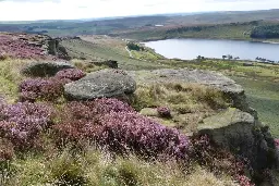 England's largest onshore wind farm in Yorkshire 'would be catastrophic for nature'