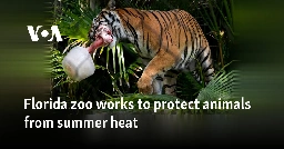Florida zoo works to protect animals from summer heat