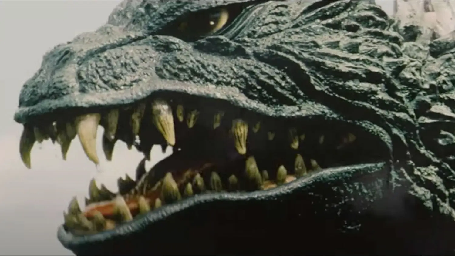 Toho Celebrates 70 Years Of Godzilla In Era-Spanning Tribute Video