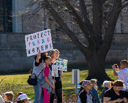 Alabama Senate Introduces Cruel Anti-Trans Bill