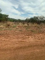 A bit less flat, dirt road, spot the baboon.