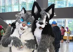 'Gay furry hackers' disband after Project 2025 data theft