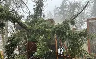 Cascades Raptor Center in Eugene to reopen after extensive storm damage