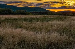 Texas family rejects millions for their property and does something remarkable with it instead: ‘I’m just very grateful’