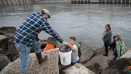 Biden administration promises $200 million to help reintroduce salmon in Columbia River