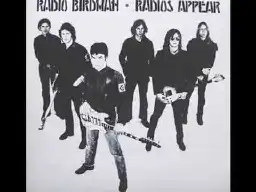 Radio Birdman - Aloha Steve And Danno