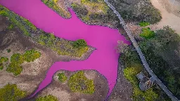 The water has turned a shocking shade of magenta in this Hawaii refuge | CNN