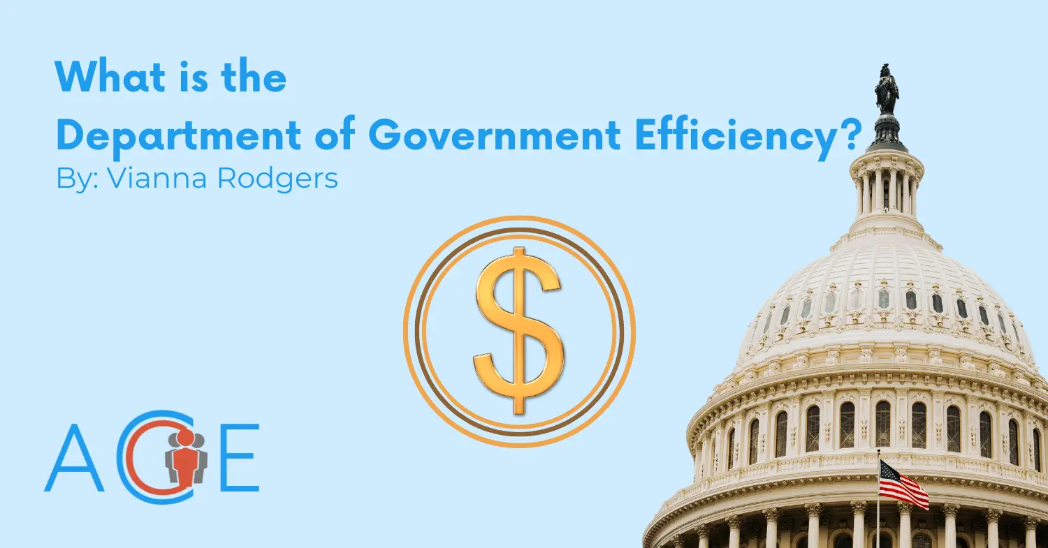 What Is The Department Of Government Efficiency?  | ACE