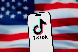 TikTok goes dark in the US | TechCrunch