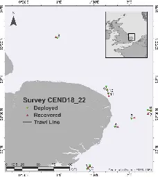 Frontiers | Microplastics in sea surface waters in the Southern Bight of the North Sea