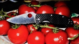 How to close a knife-Liner lock,Spyderco Tenacious