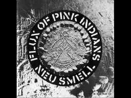 Flux of Pink Indians - Neu Smell