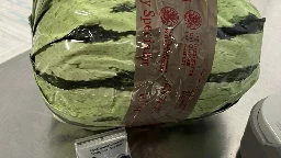 Methamphetamine disguised as shipment of watermelons seized at US-Mexico border in San Diego