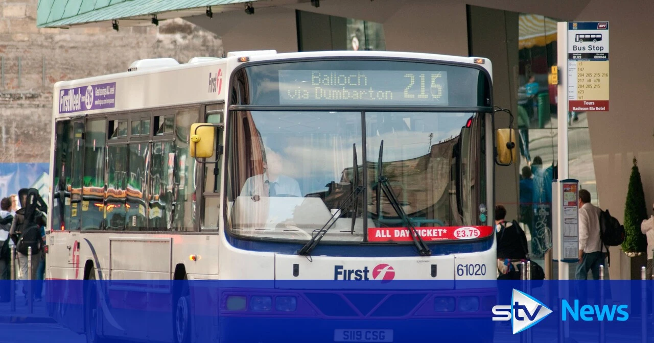 Minister backs proposal to strip free bus passes from anti-social passengers