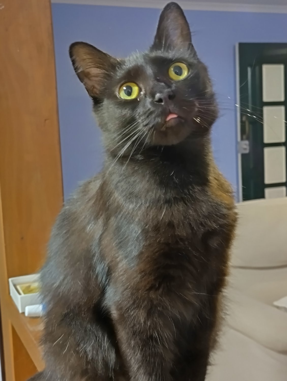 Blep