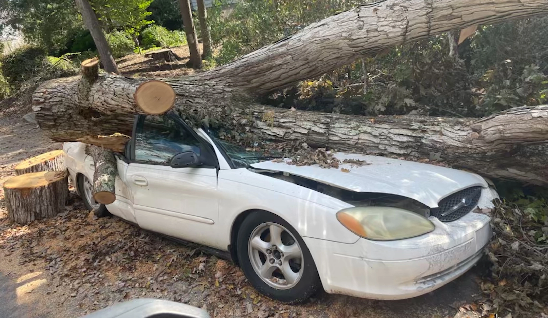 Building a sukkah doesn't make sense this year in Asheville. But we can see the stars already. - Jewish Telegraphic Agency