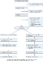 MDMA-assisted psychotherapy for treatment of anxiety and other psychological distress related to life-threatening illnesses: a randomized pilot study - Scientific Reports