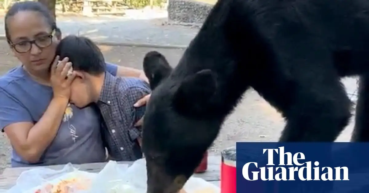 Woman shields son from black bear eating birthday picnic in Mexico