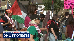 Hundreds of pro-Palestinian protesters marching on Democratic National Convention; CPD in area